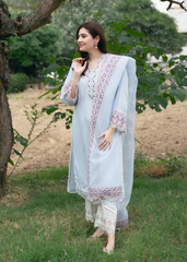 Bakul (Minor Fault)