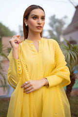 Ceylon - (Shirt Only)
