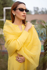 Ceylon - (Shirt Only)
