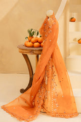 Inaya Dupatta
