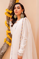 ANAYA (Minor Fault)